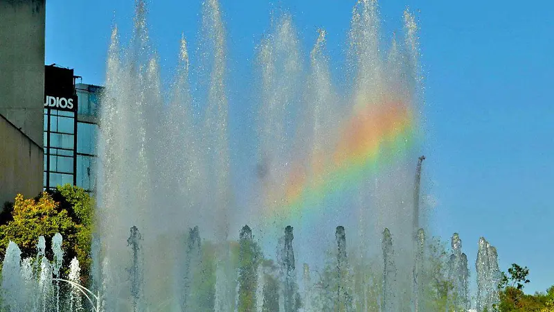 Jacarandas bajo la alerta naranja: La primavera más fría en la CDMX [Fotorreportaje]